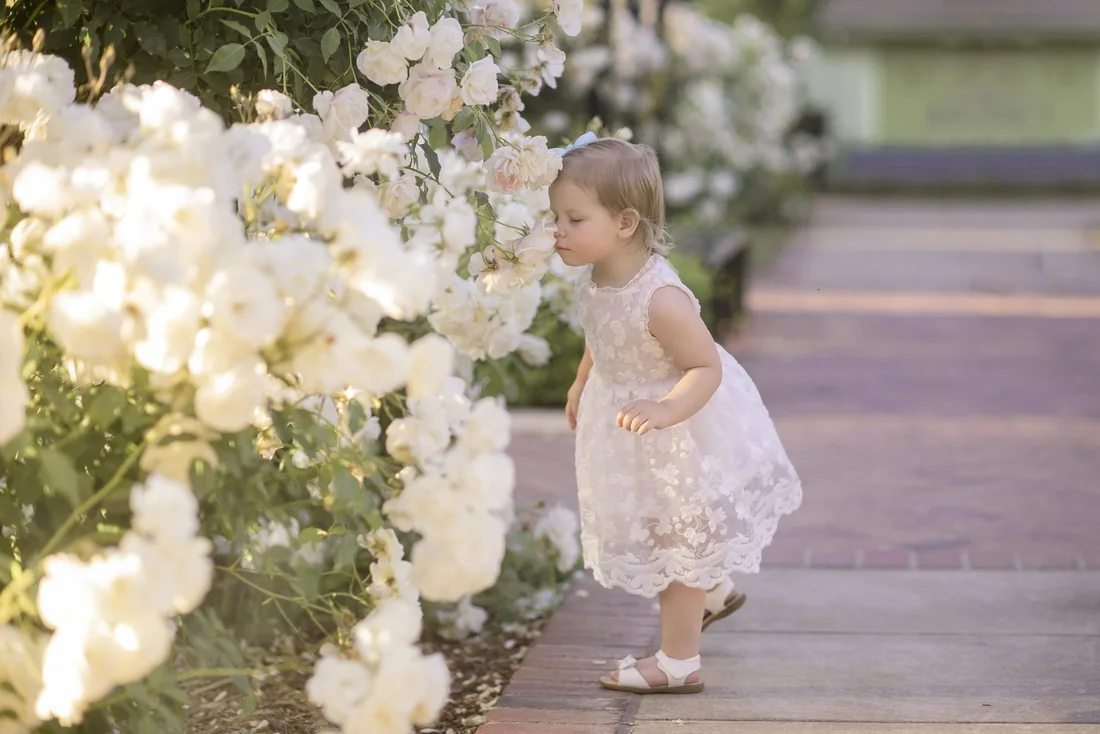 Young girl leaning toward a white rose bush